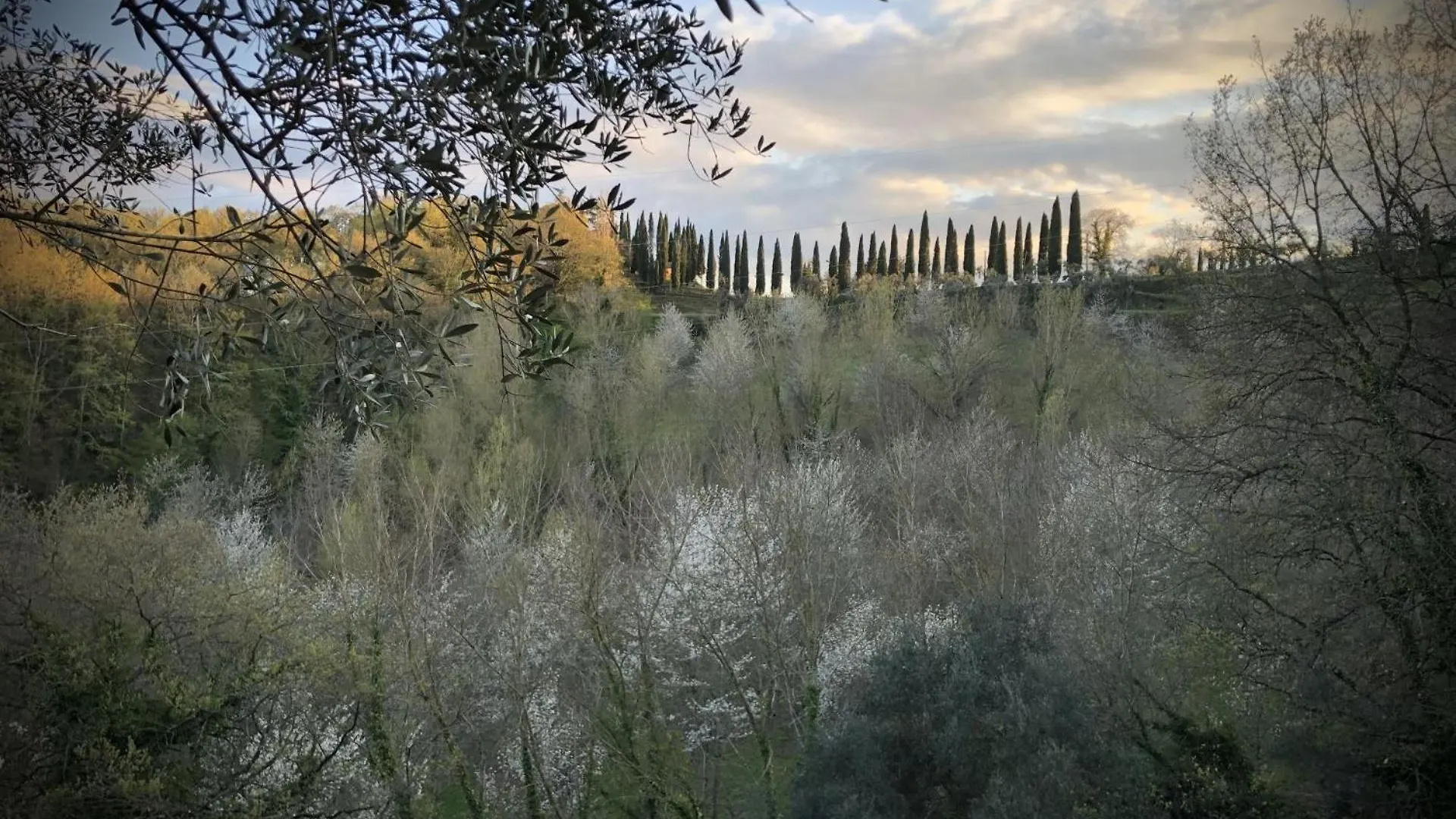 Borgo Melograno Apartment Chiusi