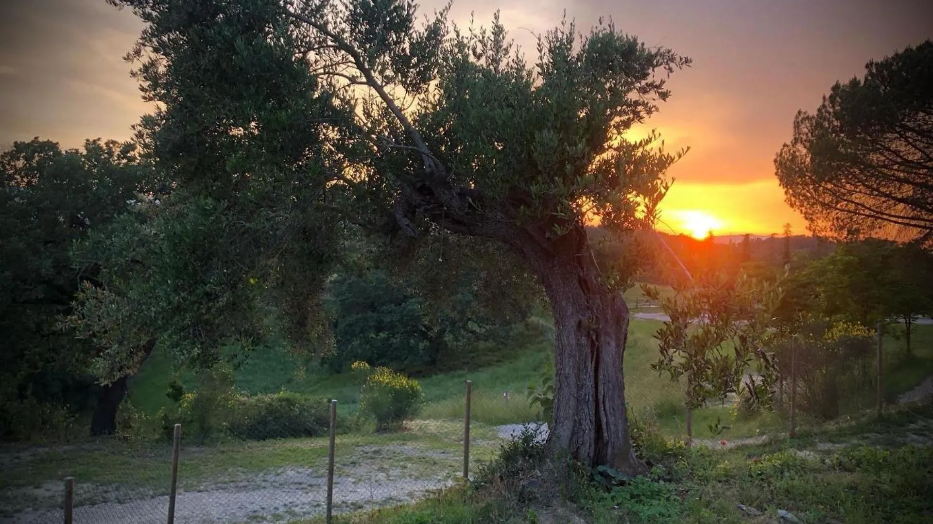 Borgo Melograno Apartment Chiusi Italy